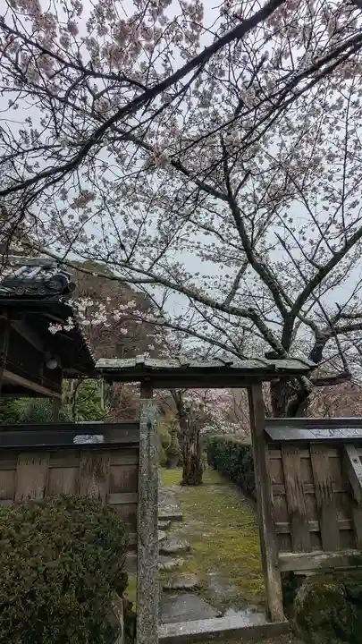 勝持寺(花の寺)(京都府)