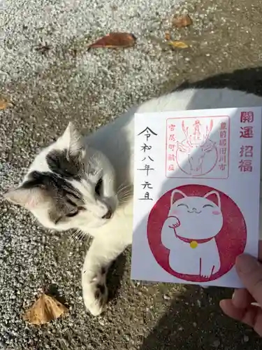 春日神社の御朱印