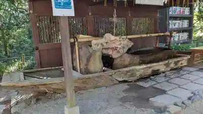 賀茂御祖神社（下鴨神社）(京都府)