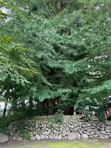 山寺日枝神社(山形県)