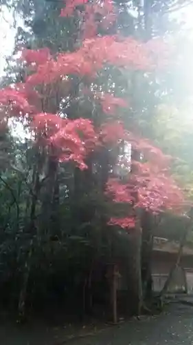 瀧原宮(皇大神宮別宮)(三重県)