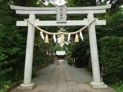 星川杉山神社の鳥居