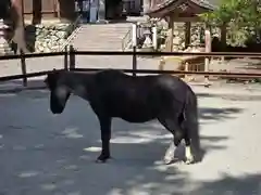 丹生川上神社（下社）(奈良県)