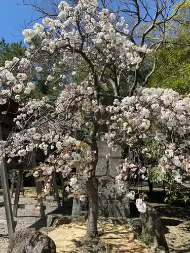 市原稲荷神社の自然