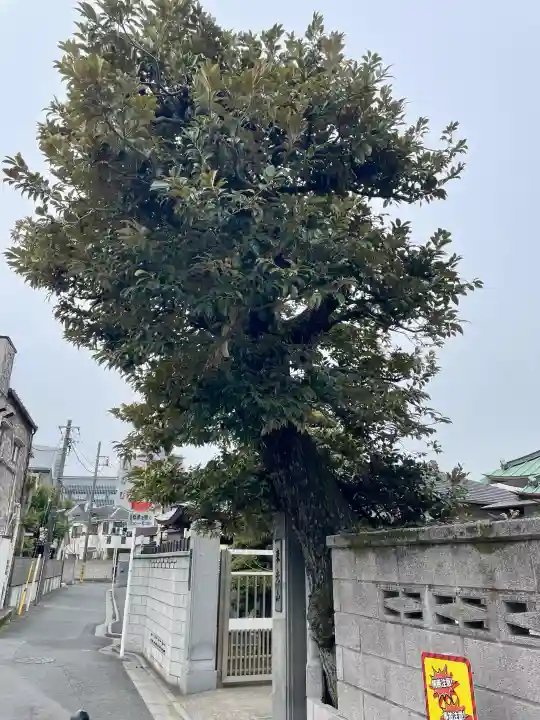 玄授院の{uncategorized: "未分類", other: "その他", undefined: "問題あり", building: "その他建物", grave: "お墓", sacred_gate: "鳥居", guardian: "狛犬", statue: "像", buddha: "仏像", history: "歴史", nature: "自然", garden: "庭園", animal: "動物", pagoda: "塔", temizu: "手水舎", mountain_gate: "山門・神門", sanctuary: "本殿・本堂", subordinate: "末社・摂社", art: "芸術", scenery: "景色", jizo: "地蔵", ema: "絵馬", goshuin: "御朱印", omikuji: "おみくじ", items: "授与品その他", amulet: "お守り", goshuincho: "御朱印帳", eats: "食事", festival: "お祭り", votive_dance: "神楽", shichigosan: "七五三参", wedding: "結婚式", experience: "体験その他", initially: "初詣", around: "周辺", anti_infection: "感染症対策"}