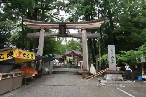 土佐神社の鳥居