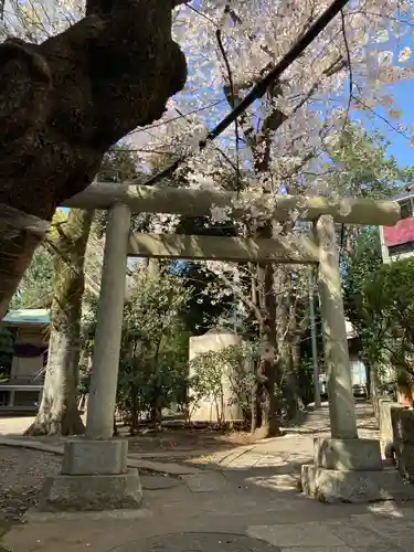 上目黒氷川神社の鳥居