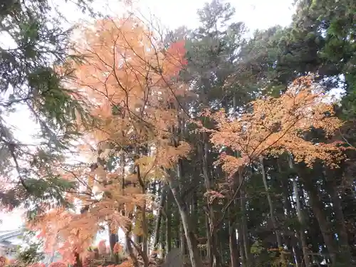 大宮五十鈴神社(長野県)