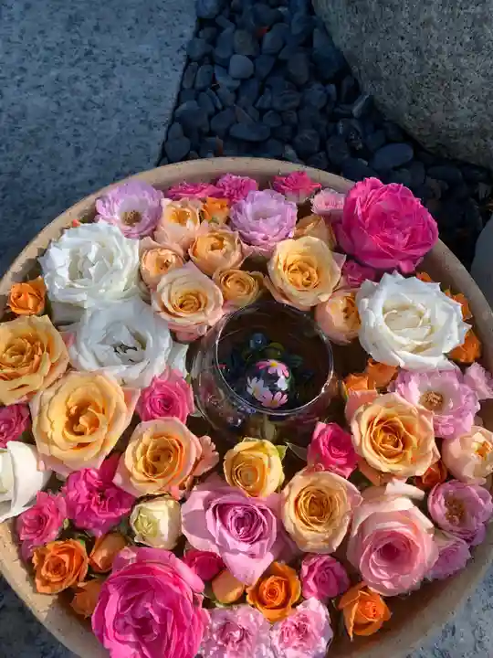 彌都加伎神社の手水舎