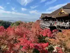 清水寺(京都府)