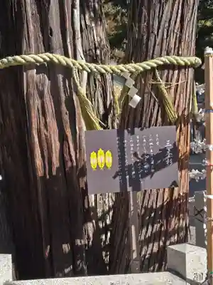 建部大社(滋賀県)