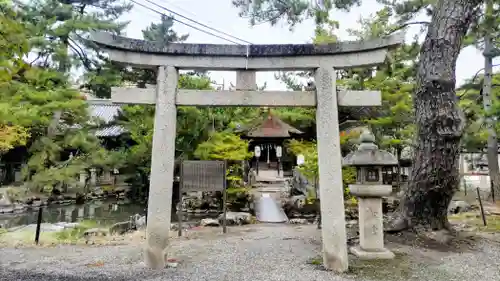 長浜八幡宮(滋賀県)