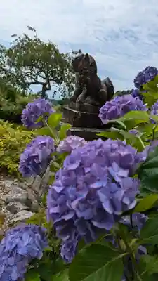 善峯寺(京都府)