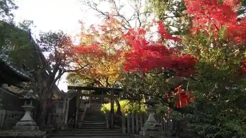 今宮神社の自然