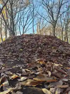 厚別神社(北海道)(2023年11月16日(木) 14時08分14秒投稿)