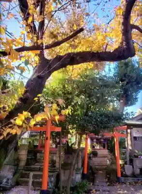 本郷氷川神社(東京都)