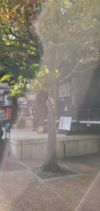 熊野神社(東京都)