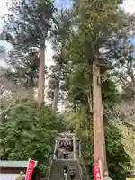高瀧神社の自然