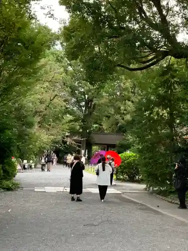 阿佐ヶ谷神明宮(東京都)