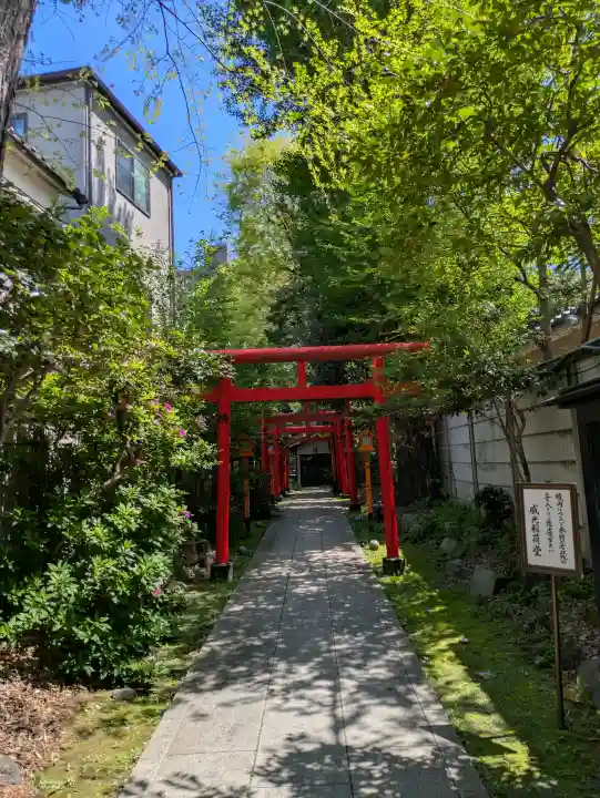 威光稲荷堂の{uncategorized: "未分類", other: "その他", undefined: "問題あり", building: "その他建物", grave: "お墓", sacred_gate: "鳥居", guardian: "狛犬", statue: "像", buddha: "仏像", history: "歴史", nature: "自然", garden: "庭園", animal: "動物", pagoda: "塔", temizu: "手水舎", mountain_gate: "山門・神門", sanctuary: "本殿・本堂", subordinate: "末社・摂社", art: "芸術", scenery: "景色", jizo: "地蔵", ema: "絵馬", goshuin: "御朱印", omikuji: "おみくじ", items: "授与品その他", amulet: "お守り", goshuincho: "御朱印帳", eats: "食事", festival: "お祭り", votive_dance: "神楽", shichigosan: "七五三参", wedding: "結婚式", experience: "体験その他", initially: "初詣", around: "周辺", anti_infection: "感染症対策"}