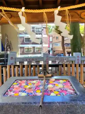 高円寺氷川神社(東京都)