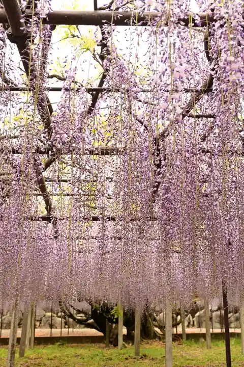 長泉寺(埼玉県)