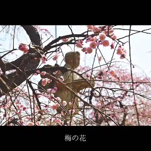 防府天満宮の自然