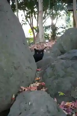 三嶋大社(静岡県)