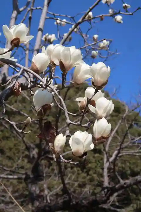 明眼院(愛知県)