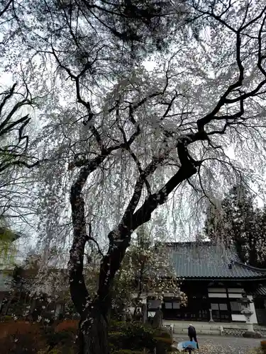 関川寺(福島県)