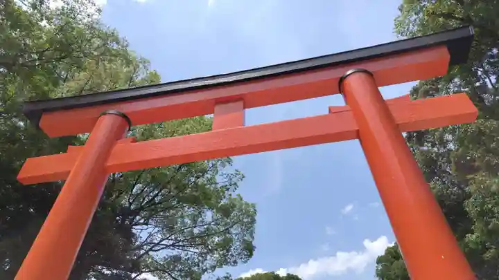 賀茂御祖神社(下鴨神社)の鳥居