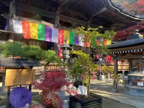 岡寺（龍蓋寺）(奈良県)