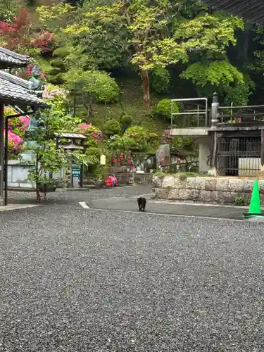 大聖寺(京都府)