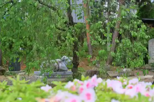豊景神社の狛犬