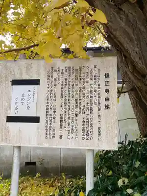 信正寺(秋田県)
