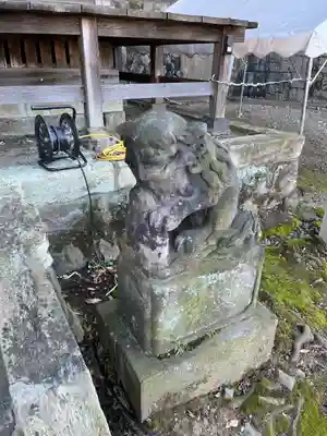 杉山社（帷子町杉山社・久保杉山神社）の狛犬