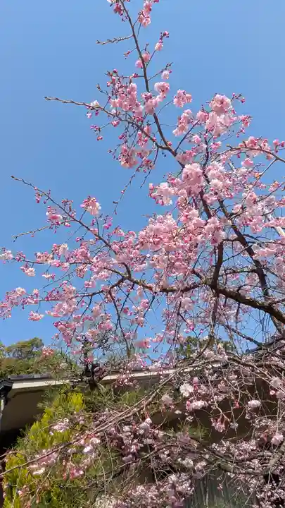 向日神社(京都府)