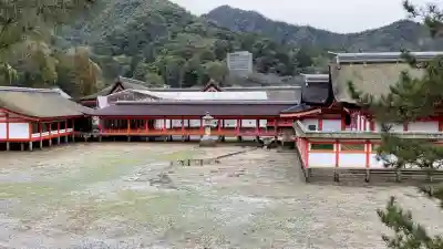 厳島神社の{uncategorized: "未分類", other: "その他", undefined: "問題あり", building: "その他建物", grave: "お墓", sacred_gate: "鳥居", guardian: "狛犬", statue: "像", buddha: "仏像", history: "歴史", nature: "自然", garden: "庭園", animal: "動物", pagoda: "塔", temizu: "手水舎", mountain_gate: "山門・神門", sanctuary: "本殿・本堂", subordinate: "末社・摂社", art: "芸術", scenery: "景色", jizo: "地蔵", ema: "絵馬", goshuin: "御朱印", omikuji: "おみくじ", items: "授与品その他", amulet: "お守り", goshuincho: "御朱印帳", eats: "食事", festival: "お祭り", votive_dance: "神楽", shichigosan: "七五三参", wedding: "結婚式", experience: "体験その他", initially: "初詣", around: "周辺", anti_infection: "感染症対策"}