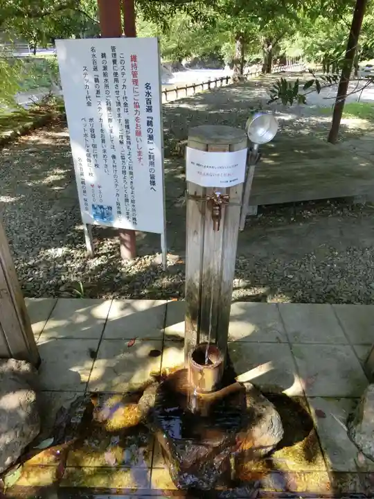 若狭神宮寺のその他建物