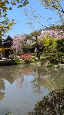 法金剛院(京都府)