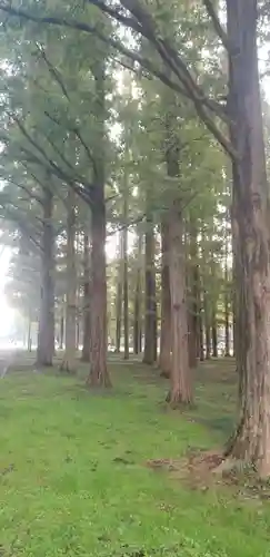 日枝神社の自然