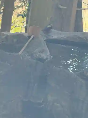 幣立神宮の{uncategorized: "未分類", other: "その他", undefined: "問題あり", building: "その他建物", grave: "お墓", sacred_gate: "鳥居", guardian: "狛犬", statue: "像", buddha: "仏像", history: "歴史", nature: "自然", garden: "庭園", animal: "動物", pagoda: "塔", temizu: "手水舎", mountain_gate: "山門・神門", sanctuary: "本殿・本堂", subordinate: "末社・摂社", art: "芸術", scenery: "景色", jizo: "地蔵", ema: "絵馬", goshuin: "御朱印", omikuji: "おみくじ", items: "授与品その他", amulet: "お守り", goshuincho: "御朱印帳", eats: "食事", festival: "お祭り", votive_dance: "神楽", shichigosan: "七五三参", wedding: "結婚式", experience: "体験その他", initially: "初詣", around: "周辺", anti_infection: "感染症対策"}