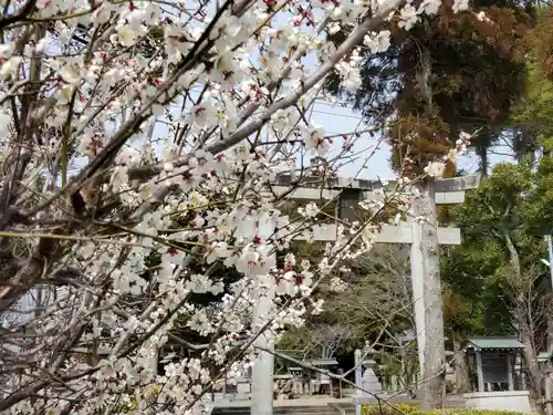 淡河八幡神社の自然