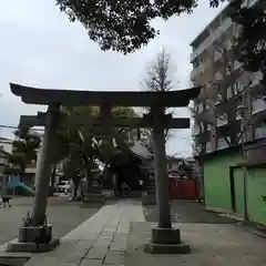 矢口氷川神社の鳥居