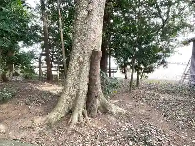 若之神社(三重県)