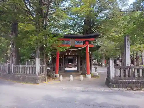 淺間神社（忍野八海）の鳥居