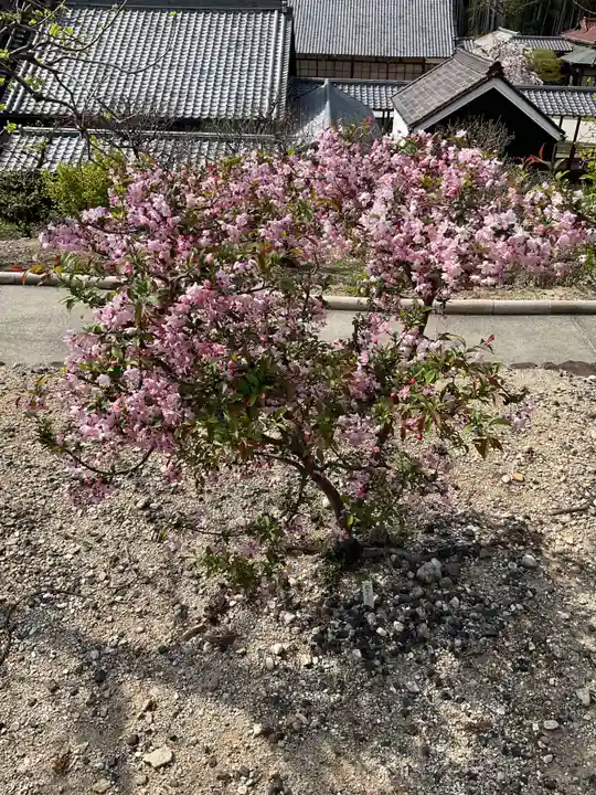 八事山 興正寺(愛知県)