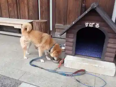 感通寺(東京都)