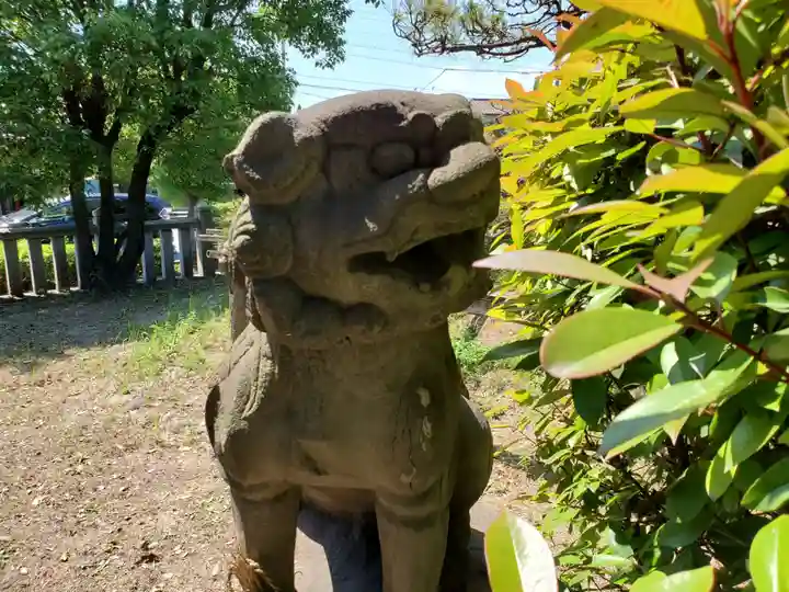 住吉神社の狛犬