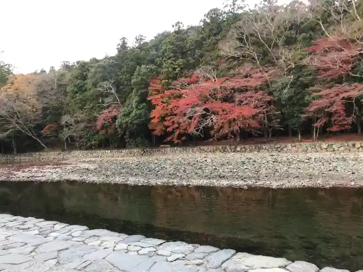 伊勢神宮内宮(皇大神宮)の自然